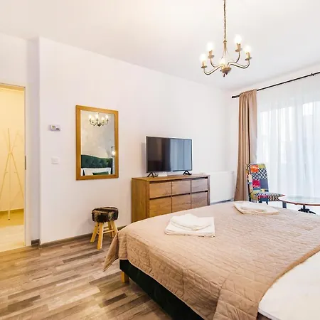 Studio Safir Braşov Exterior foto